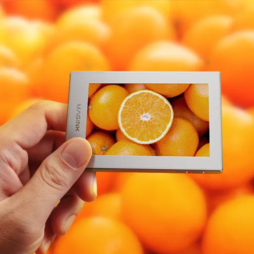 Hand holding a small E-Ink display showing a vivid image of oranges in front of a background full of oranges